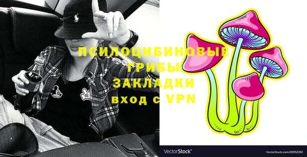 PSILOCYBIN Алексин