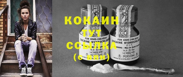 соль курить ск Алзамай