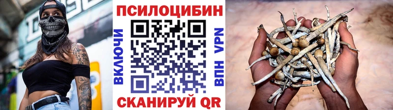цена   МЕГА ONION  Галлюциногенные грибы Cubensis  Арамиль 